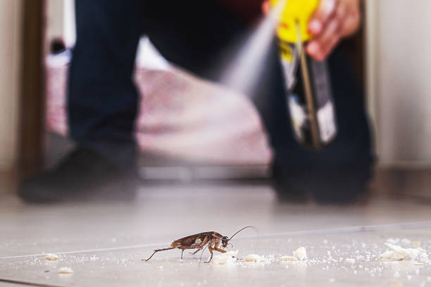 Trusted Rolesville, NC Pest Control Experts